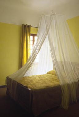 Hotel Saint Trophime آرْلْ الغرفة الصورة